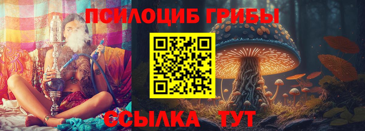 Псилоцибиновые грибы мицелий  как найти закладки  Вход с VPN  Обнинск  Галлюциногенные грибы мицелий 